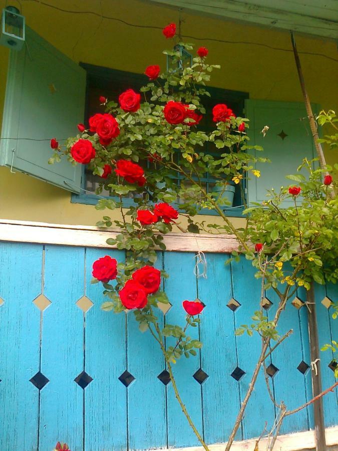 Blue Cottage Podvrh  Экстерьер фото