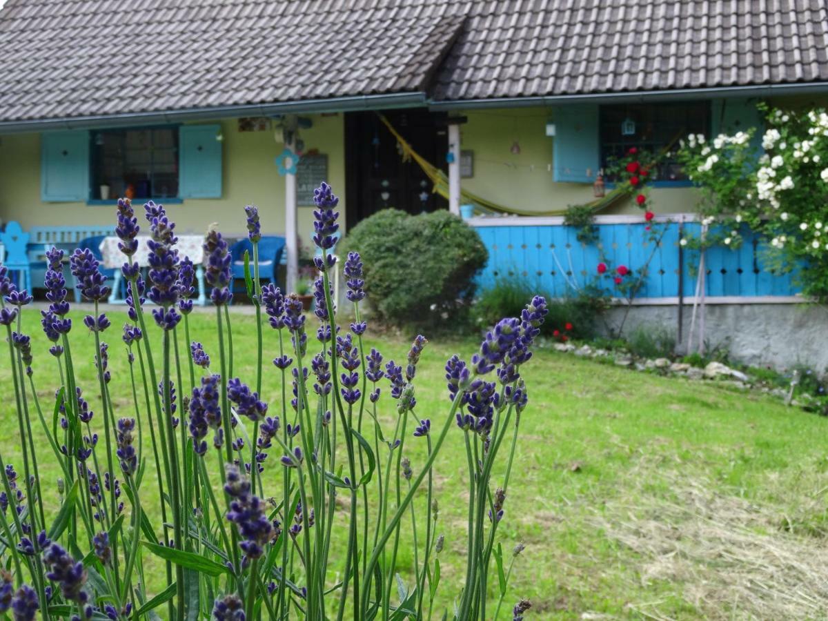 Blue Cottage Podvrh  Экстерьер фото